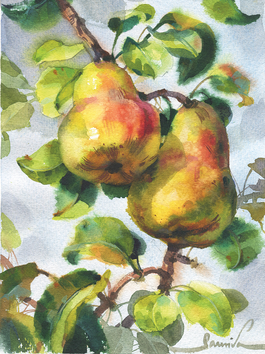 Pears