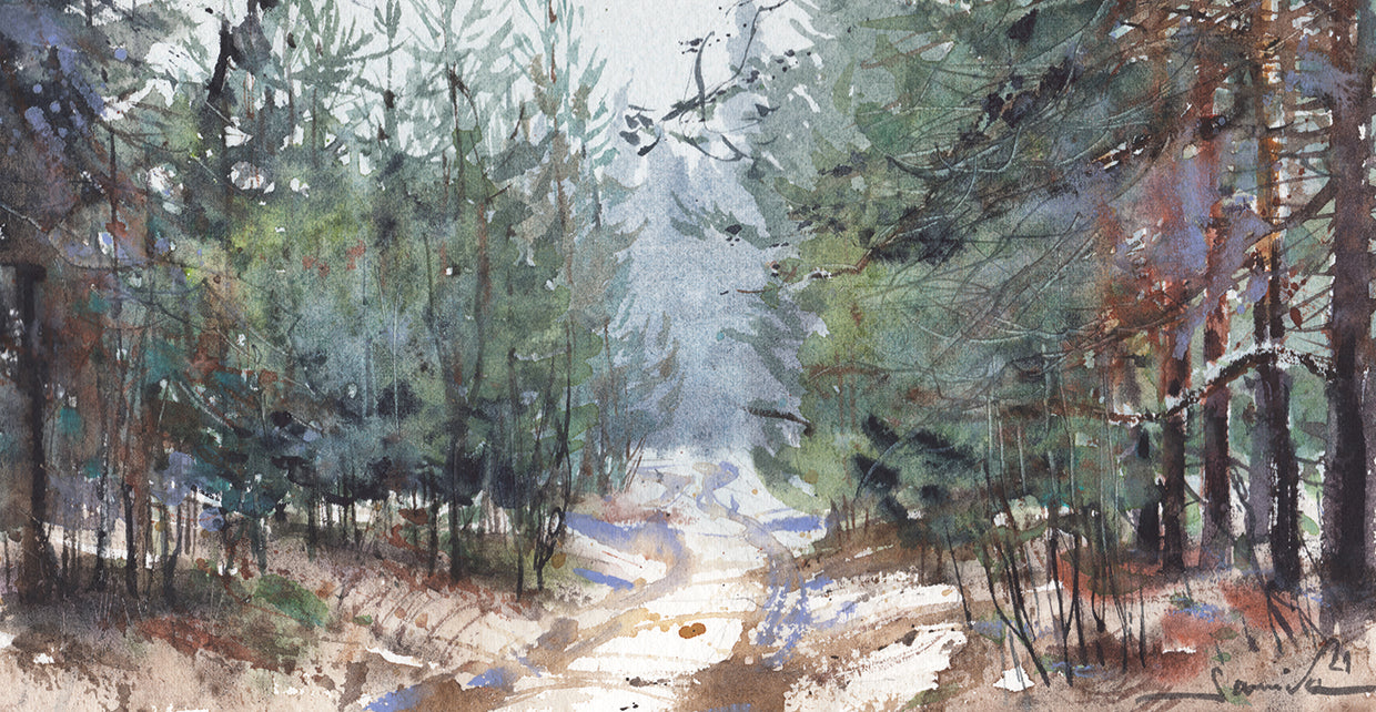 Forest Landscape In Nature