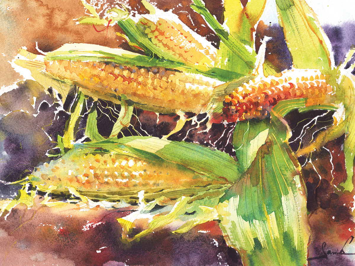 Corn Like Gold Sun