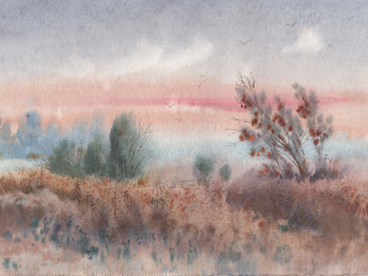 Foggy Landscape