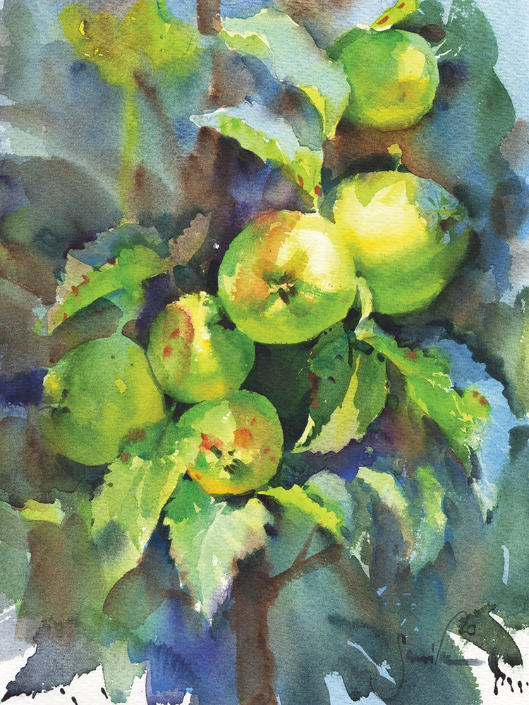 Nature. Branch With Apples