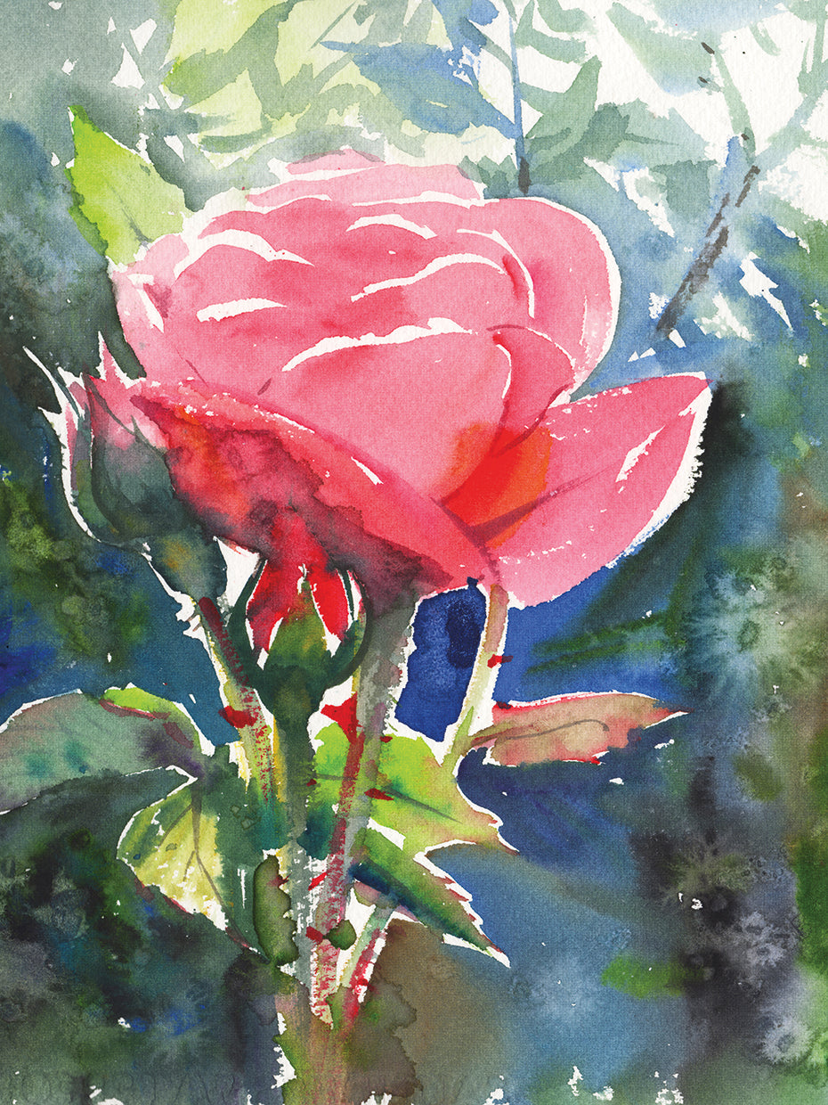 Romantic Rose