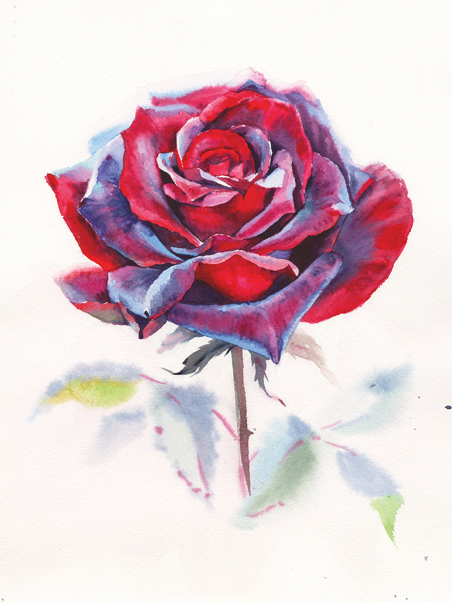 Seductive Color. Watercolor Art