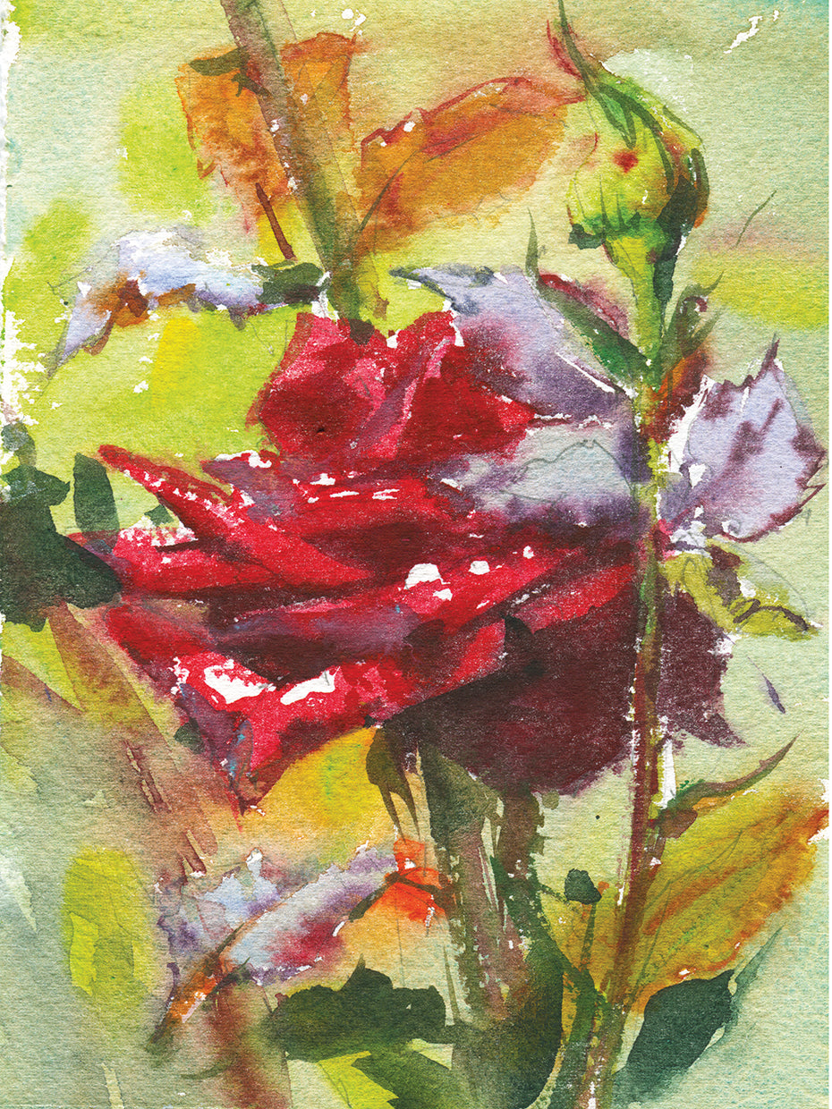 Spice Rose Watercolor Painting