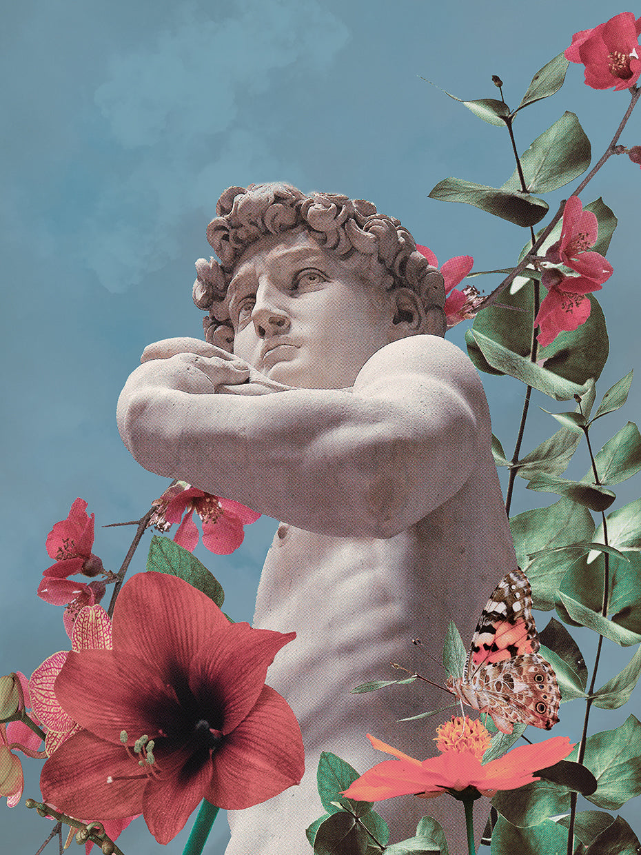 David's Garden II