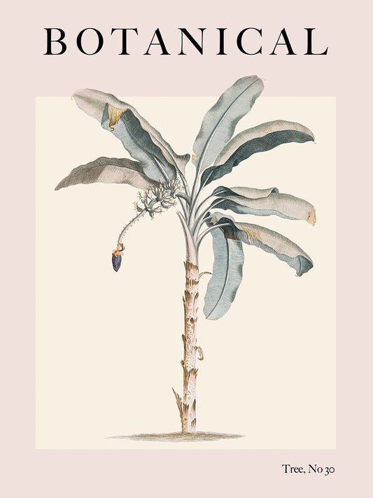 Botanical Tree, No 30 Canvas Print