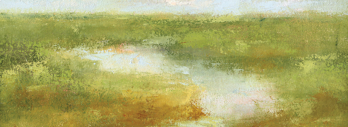 Cape Cod Marshes