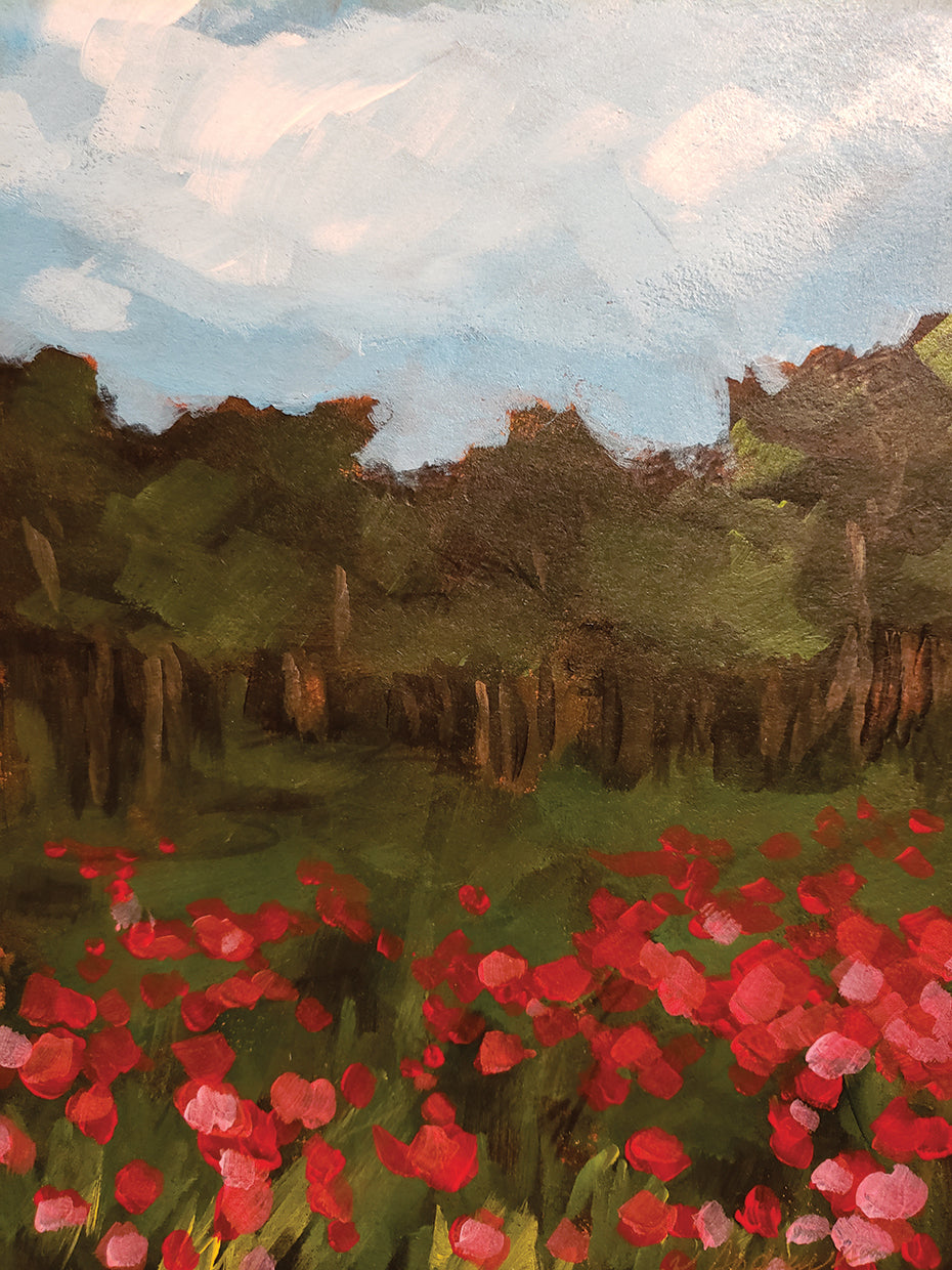 Campos de flores Lienzo