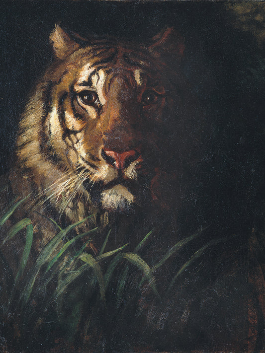 Tiger’s Head (ca. 1874)