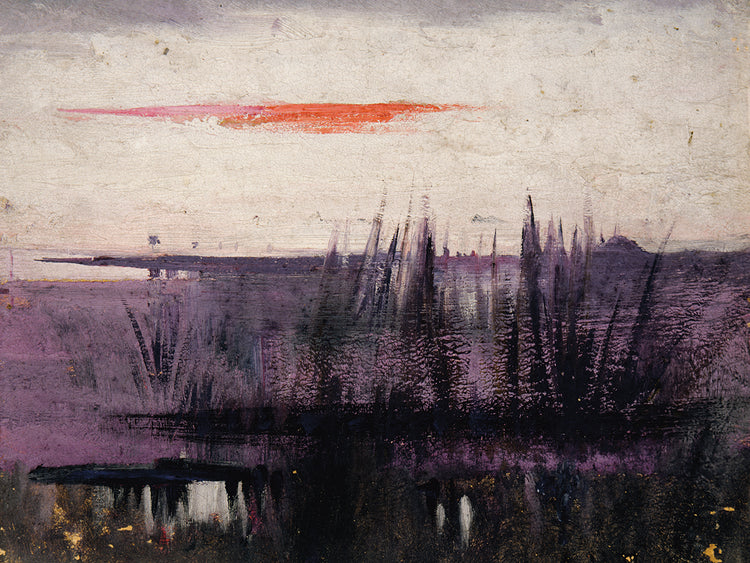 The Sky Simulated By White Flamingoes Study For Book, Concealing Coloration In The Animal Kingdom (ca. 1905-1909)