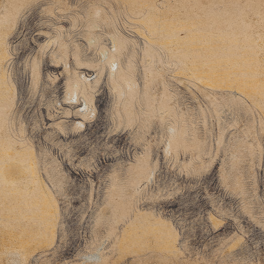 Lion (c. 1612-1613)