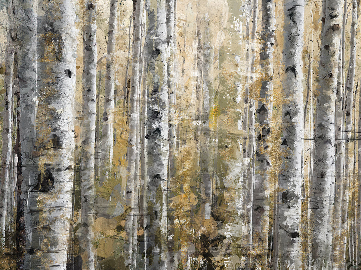 Autumn Birches