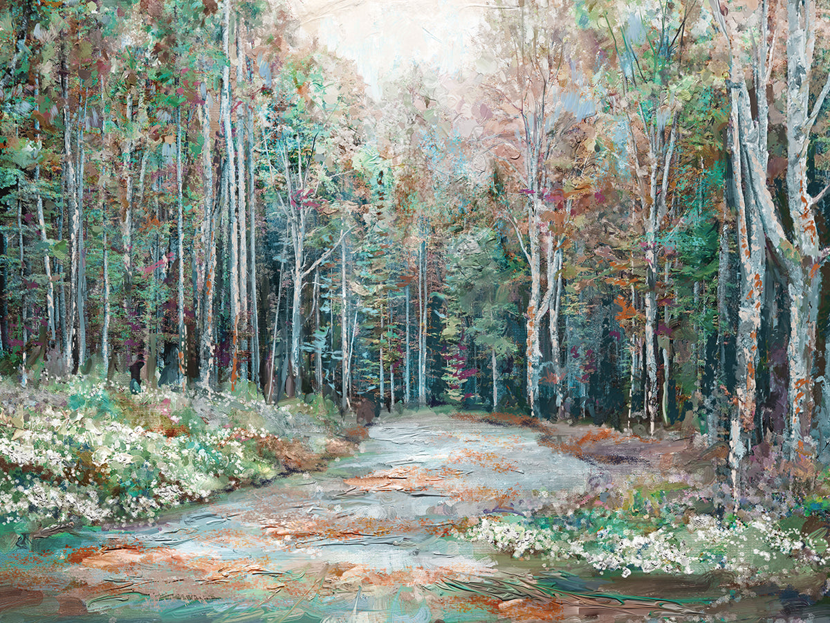 Autumn Trail