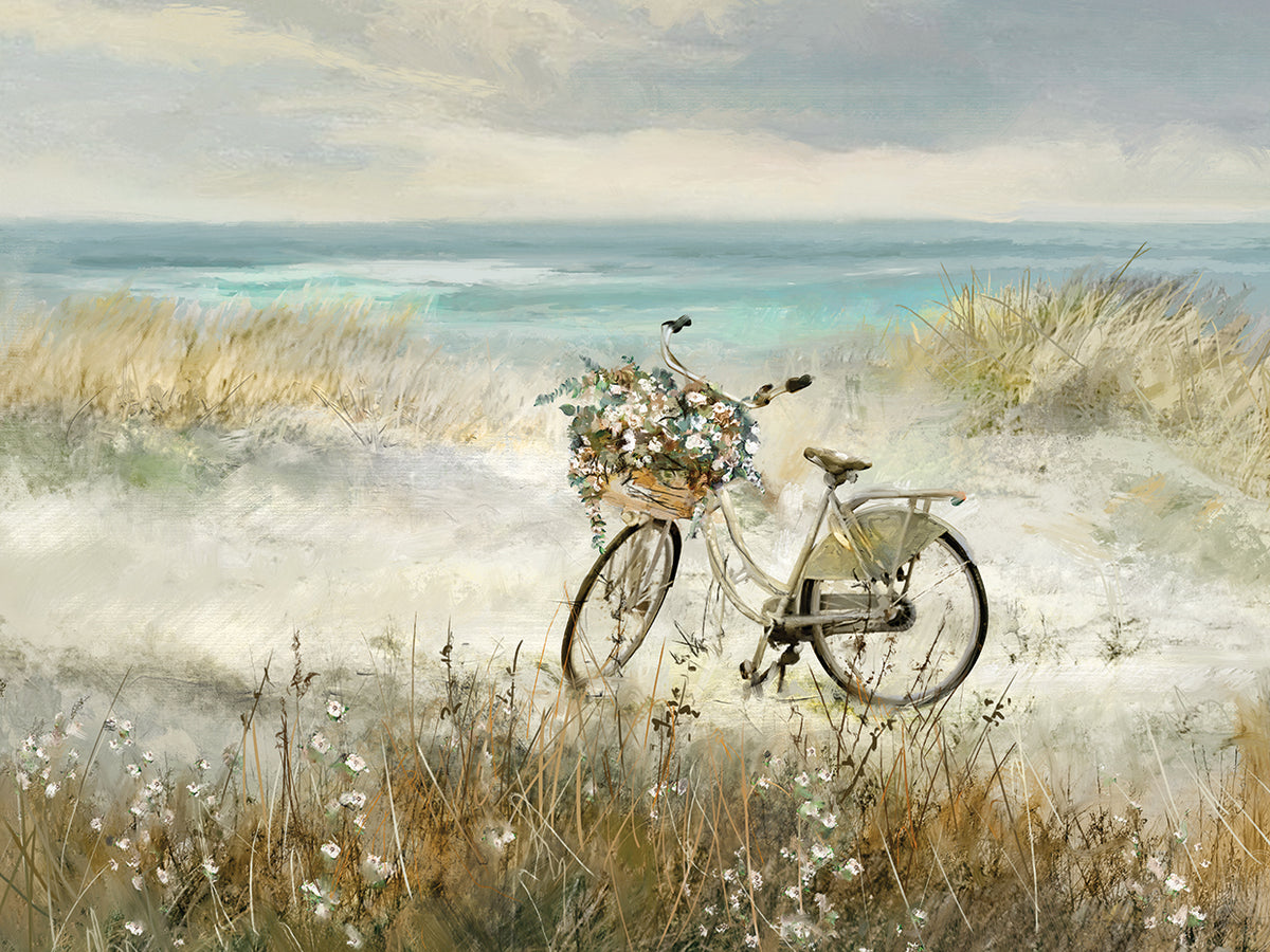 Beach Bike