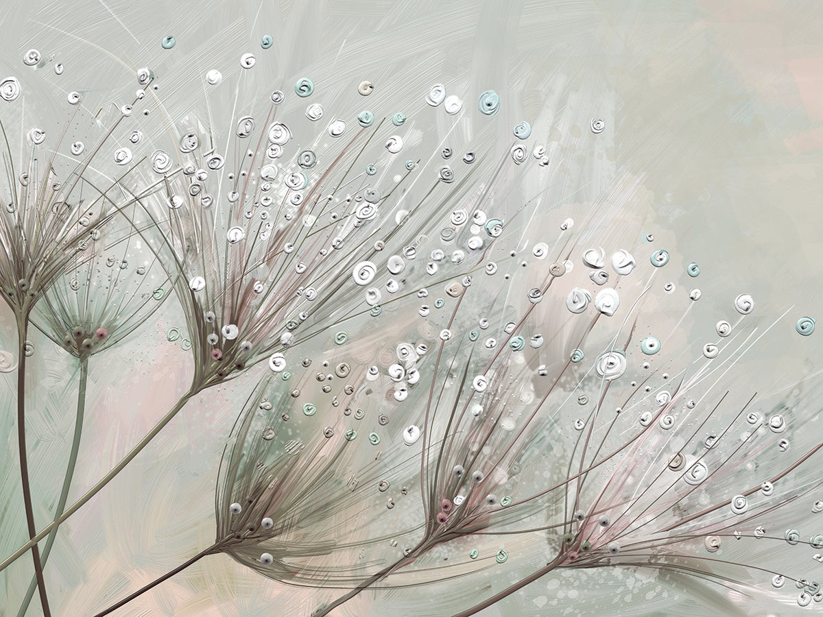Dewdrops