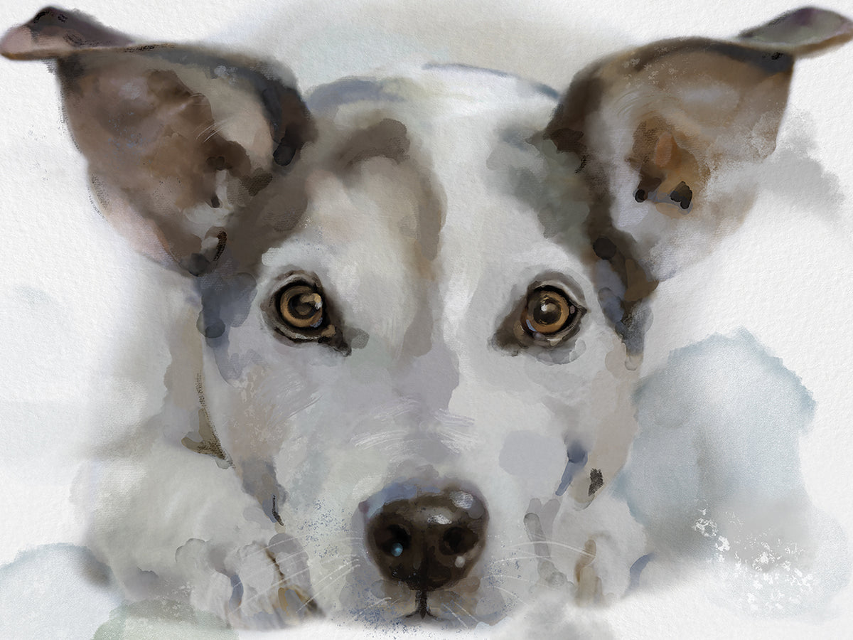 Gallery Hounds I
