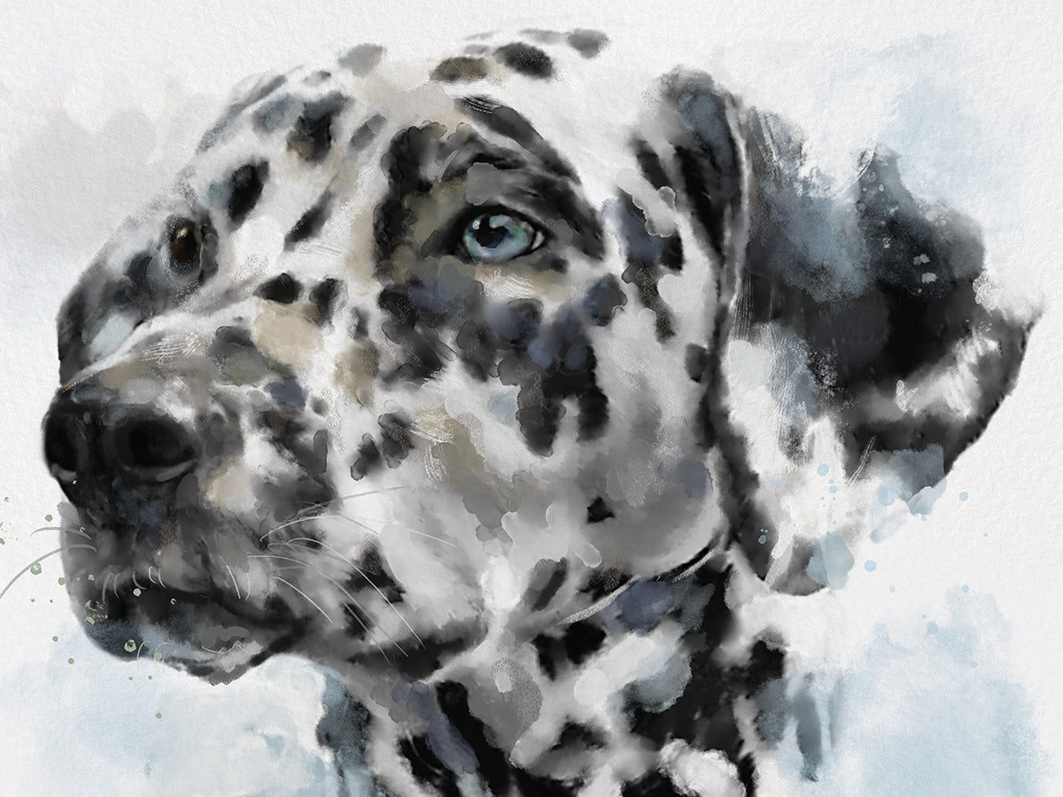 Gallery Hounds IV