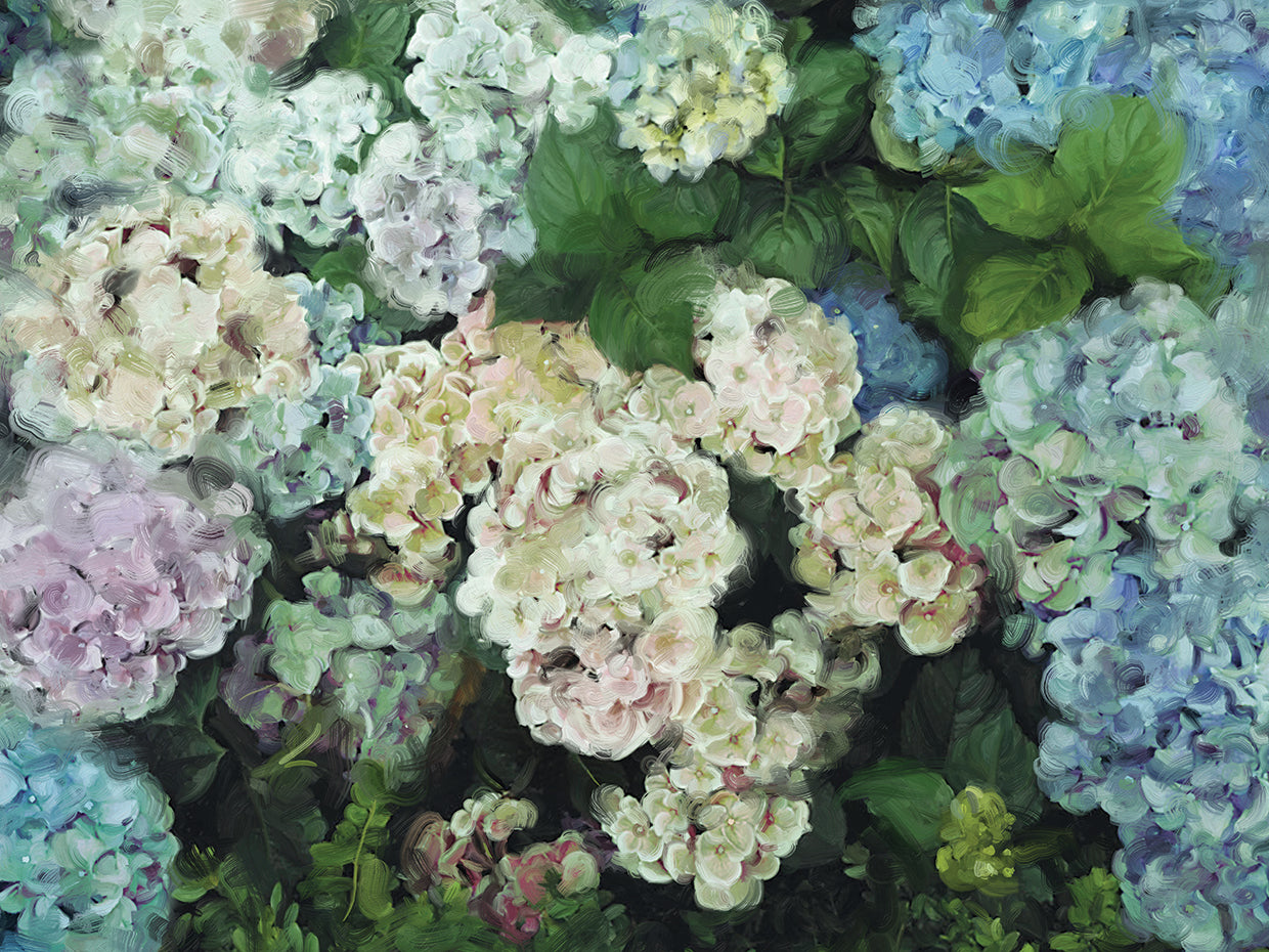 Hydrangea Garden