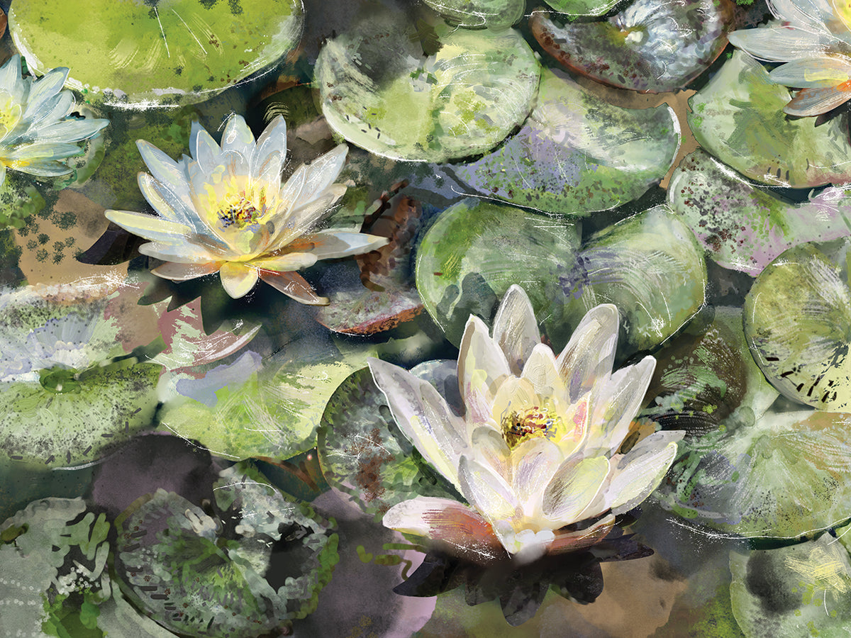 Lotus Blossoms