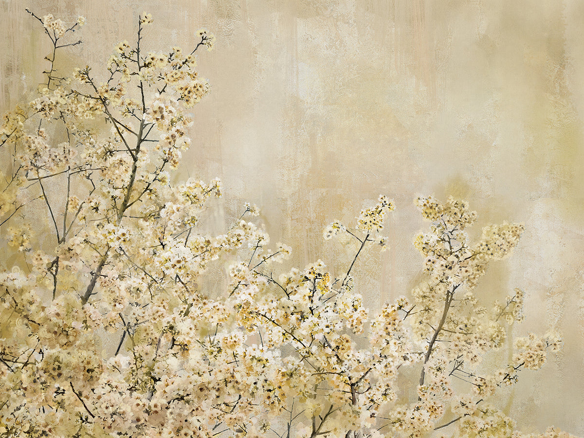 Seasons