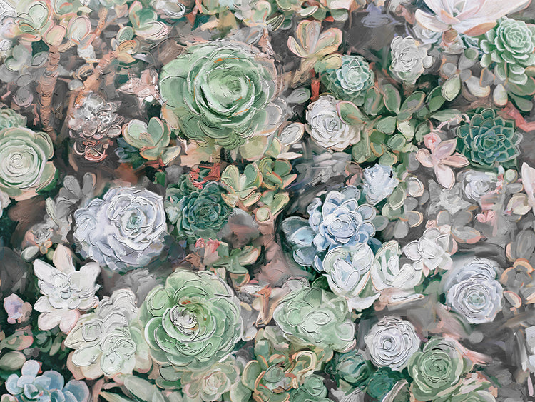 Succulent Garden