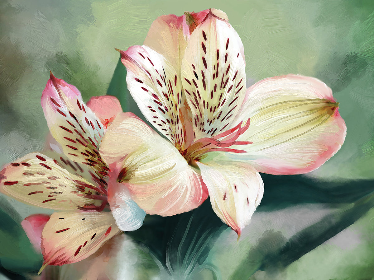 Tropical Lily