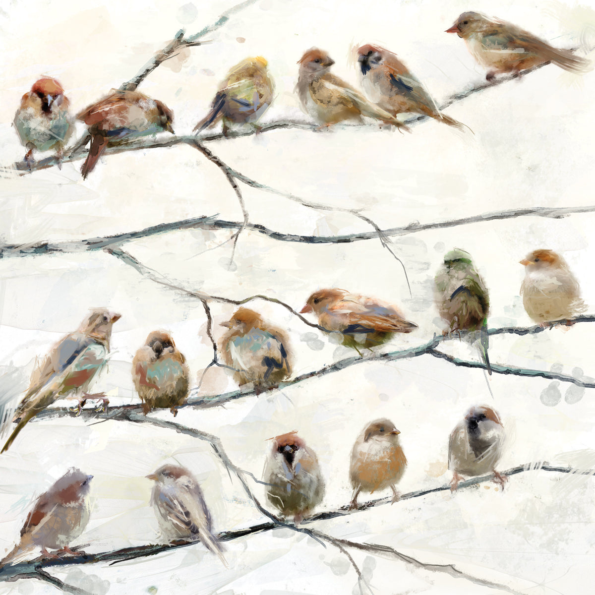Birds of a Feather