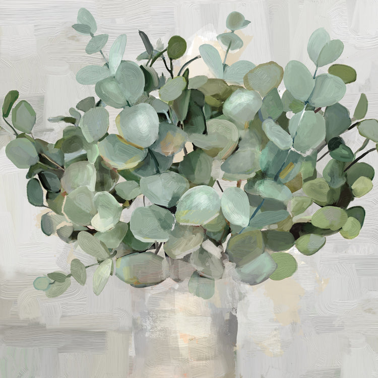 Eucalyptus Pots II