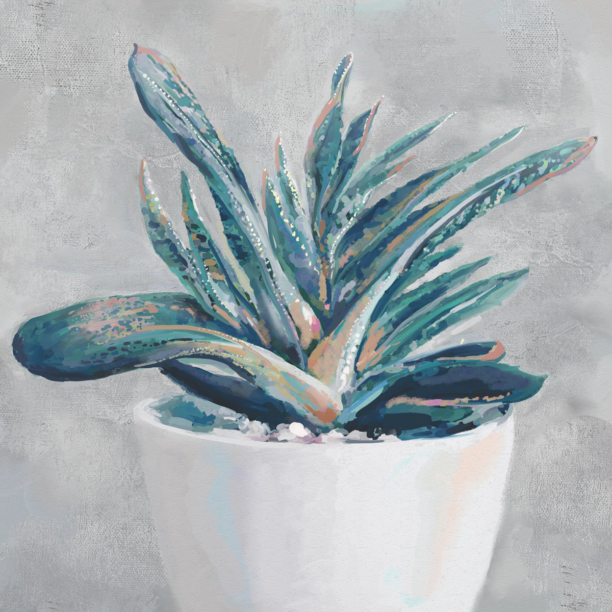Potted Succulent II