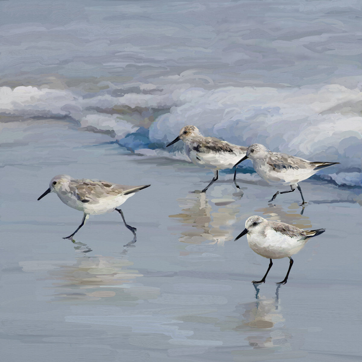 Sandpiper Beach I