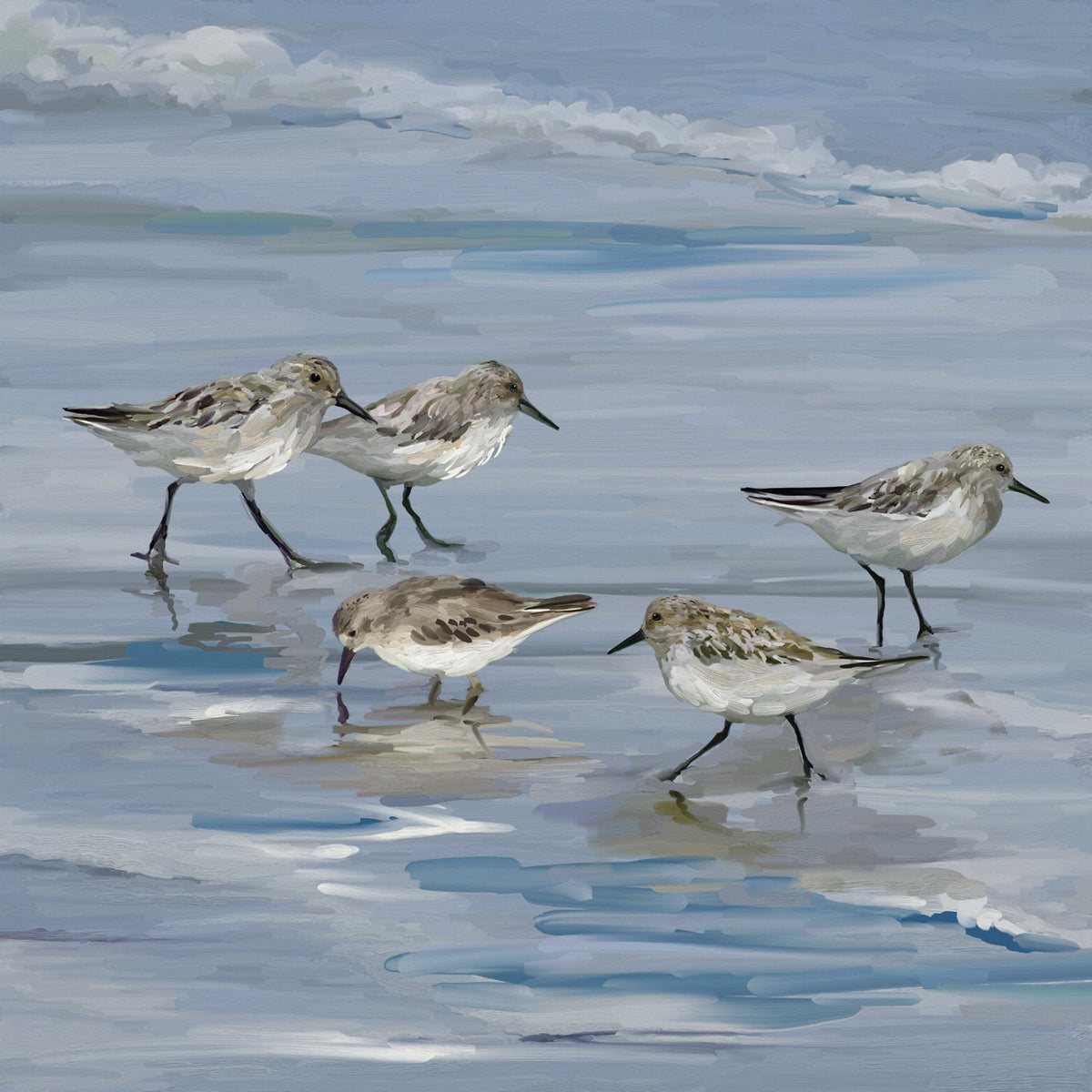 Sandpiper Beach II