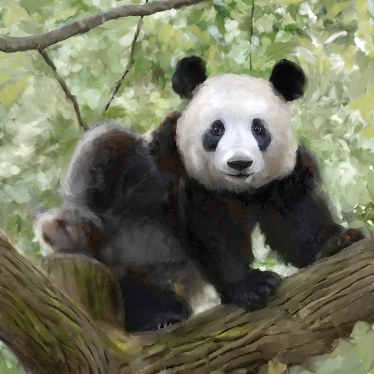 Tree Hugger I