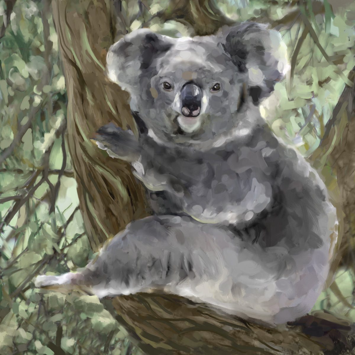 Tree Hugger II