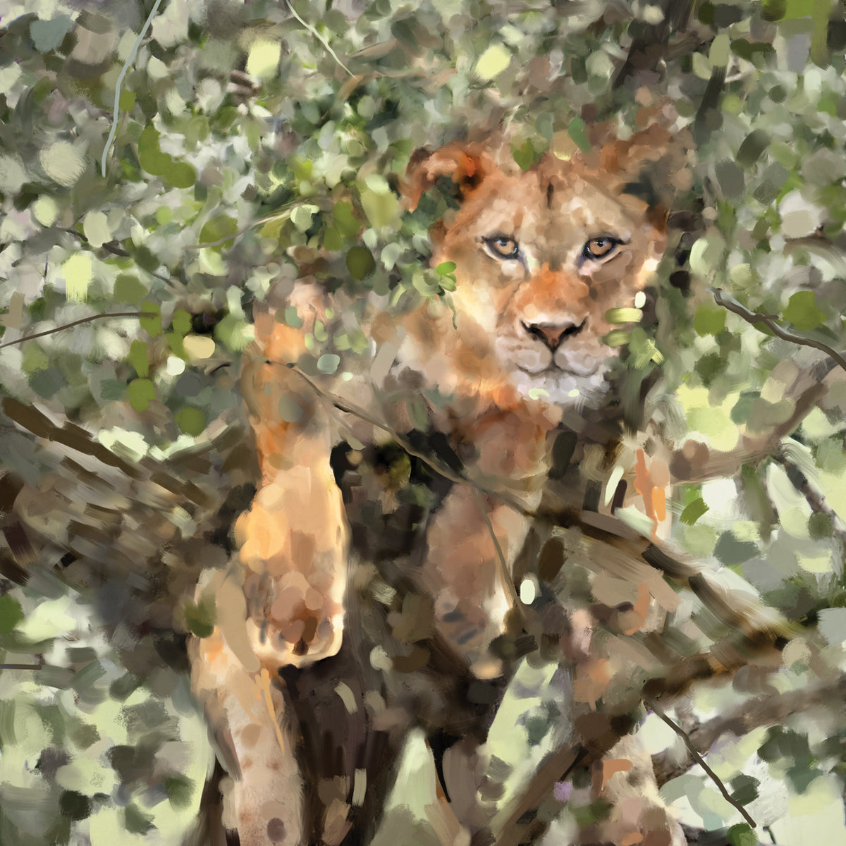 Tree Hugger III