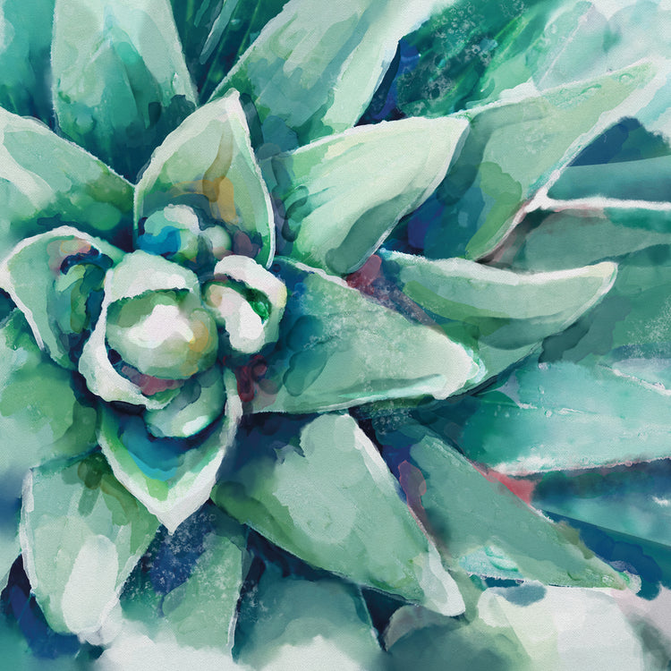 Watercolor Succulent Bloom Square