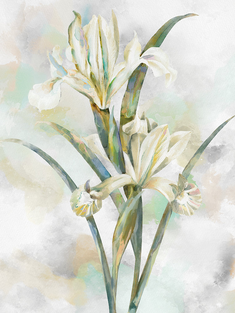 Botanical Whispers II