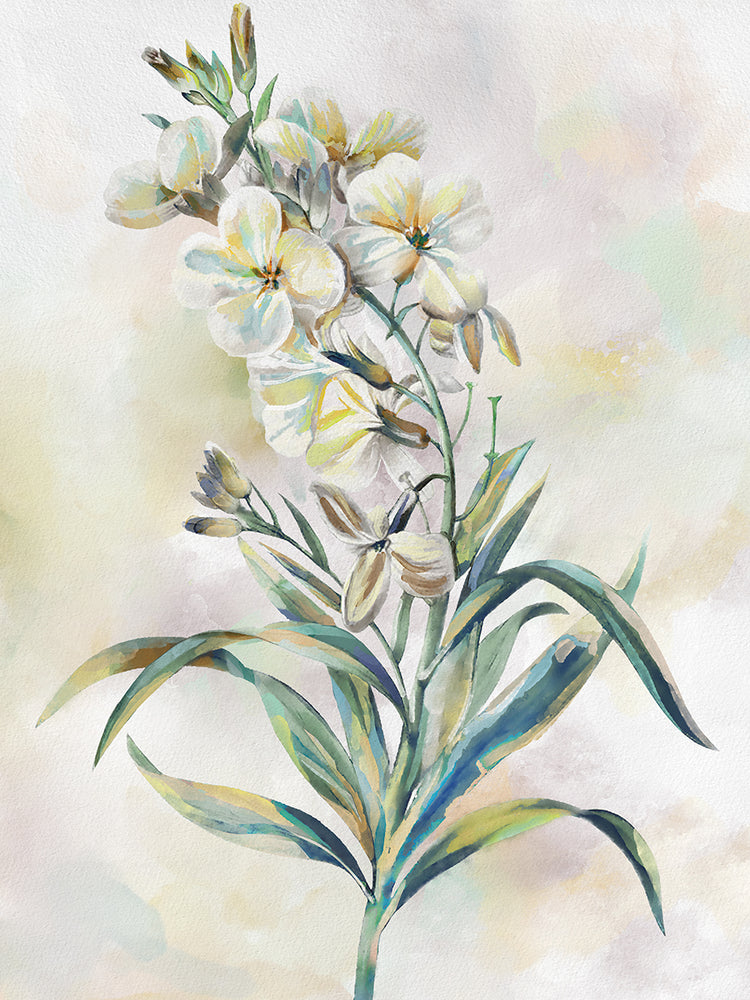 Botanical Whispers III