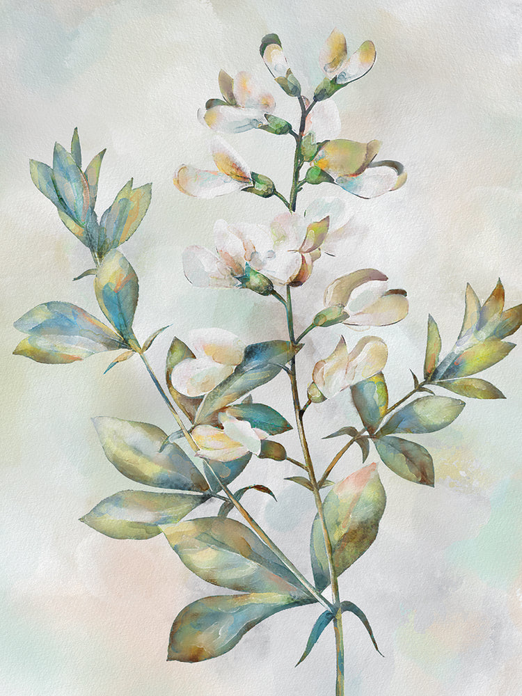 Botanical Whispers IV