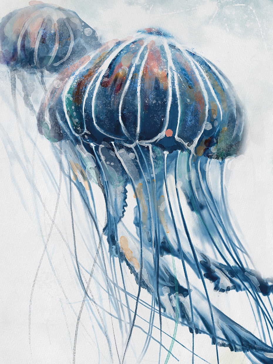 Indigo Jellies