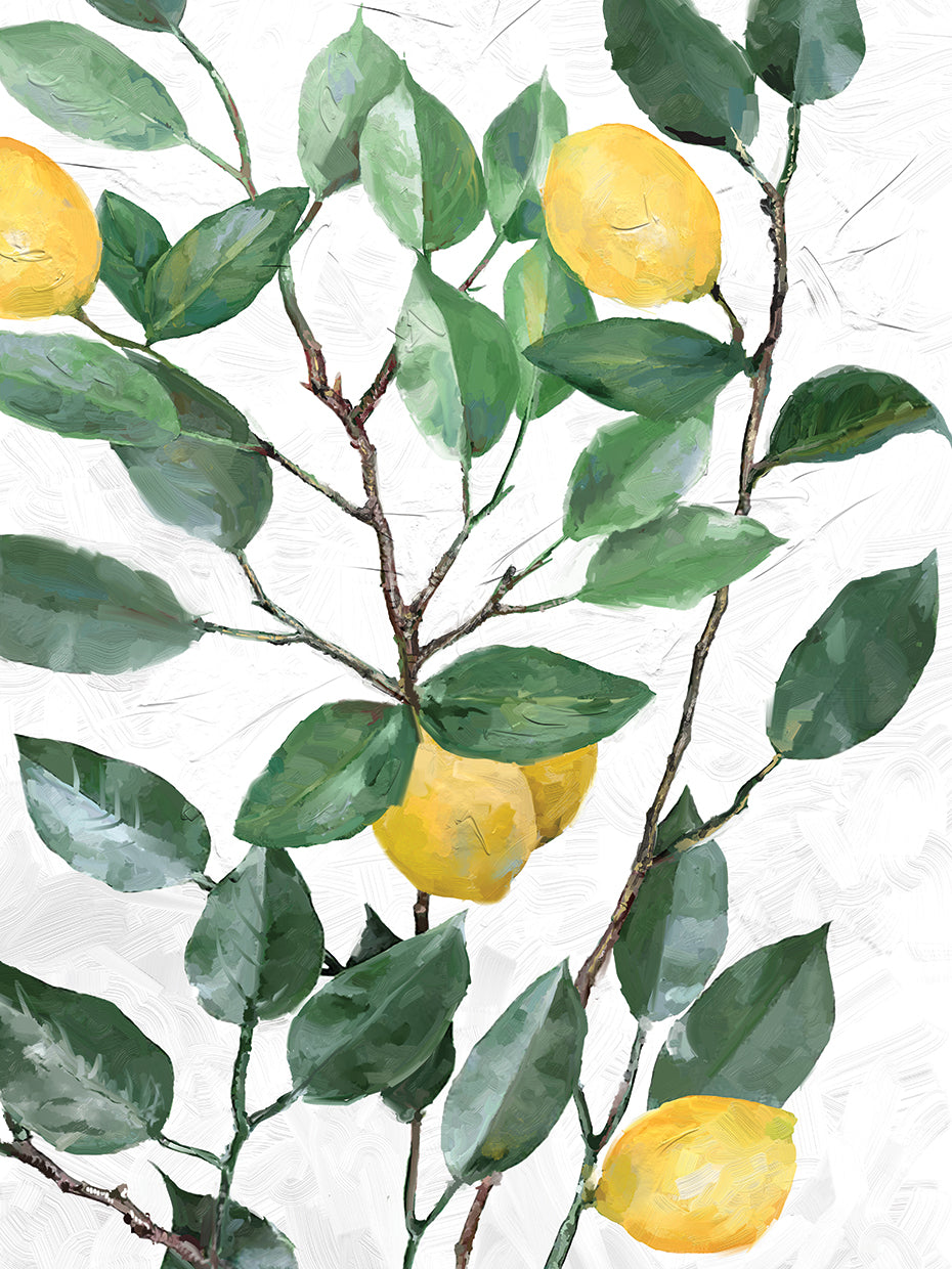 Lemon Tree