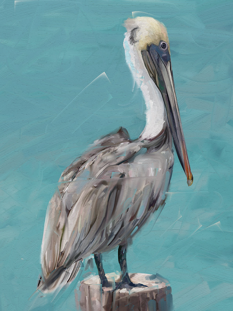 Pelican Perch I