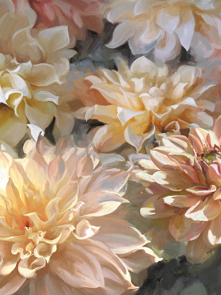 Sherbert Dahlias