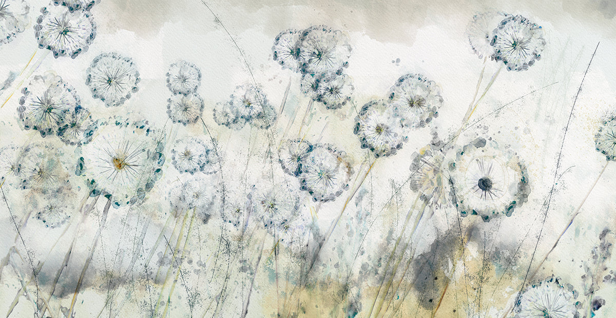 Dandelion Spring