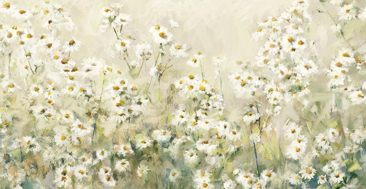 Daytime Daisies