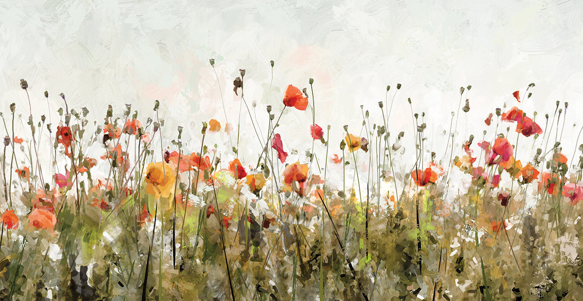 Poppy Parade on White