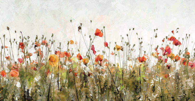 Poppy Parade on White