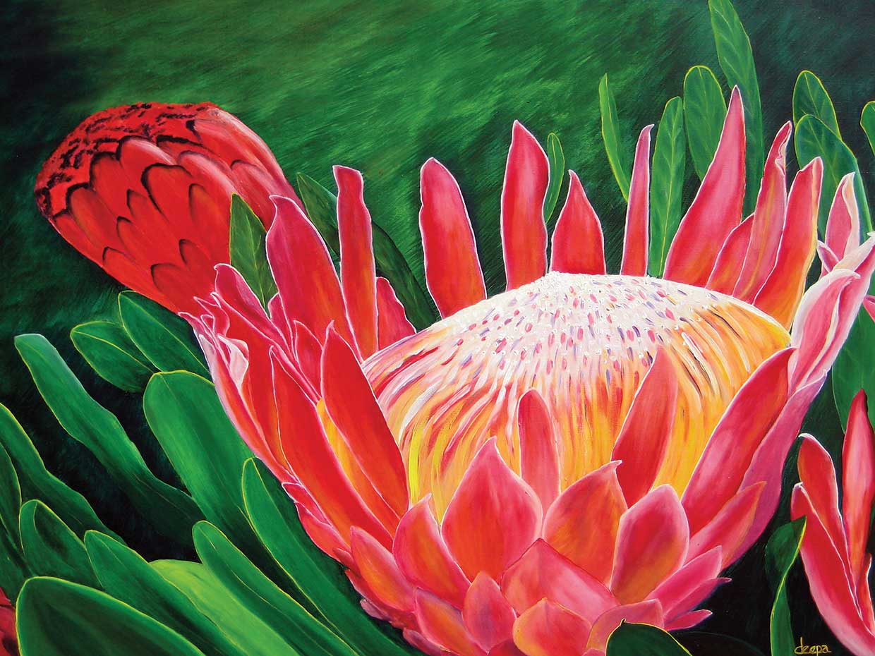 King Protea