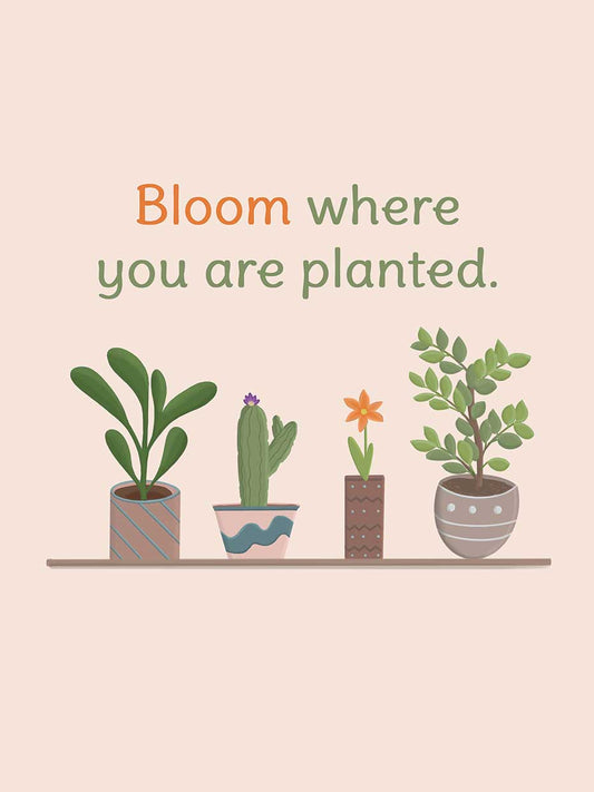 Bloom Where Are Planted 2