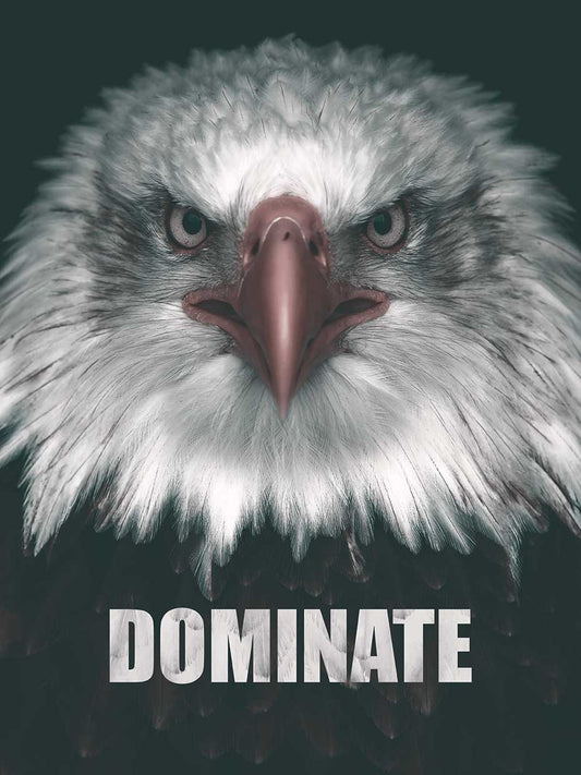 Dominate Like An Eagle