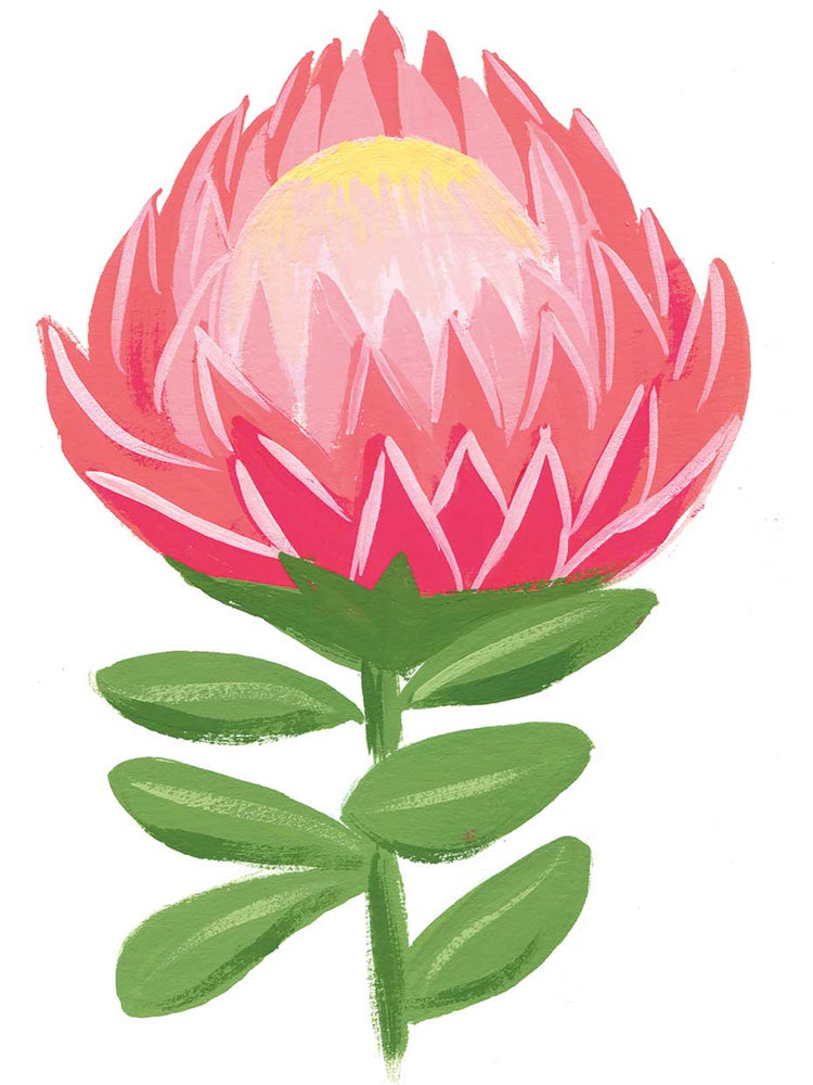 protea Lienzo